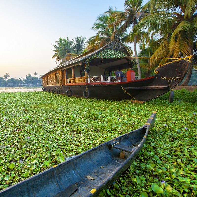 tour package company kerala